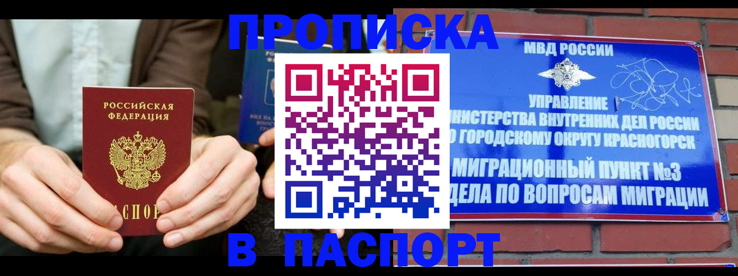 где прописаться в Козельске